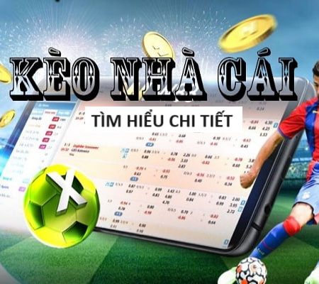 bet365-Chơi cược an toàn với trang xanh chín đáng tin cậy!